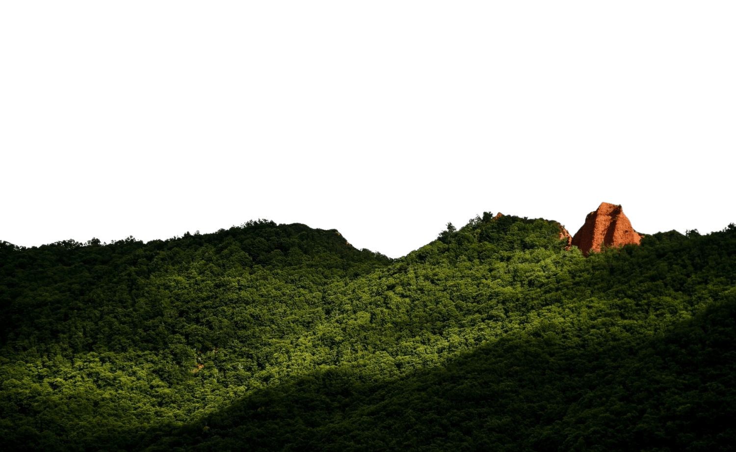 EverGreen Sinharaja Background 2