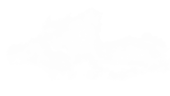 EverGreen Sinharaja Background 6