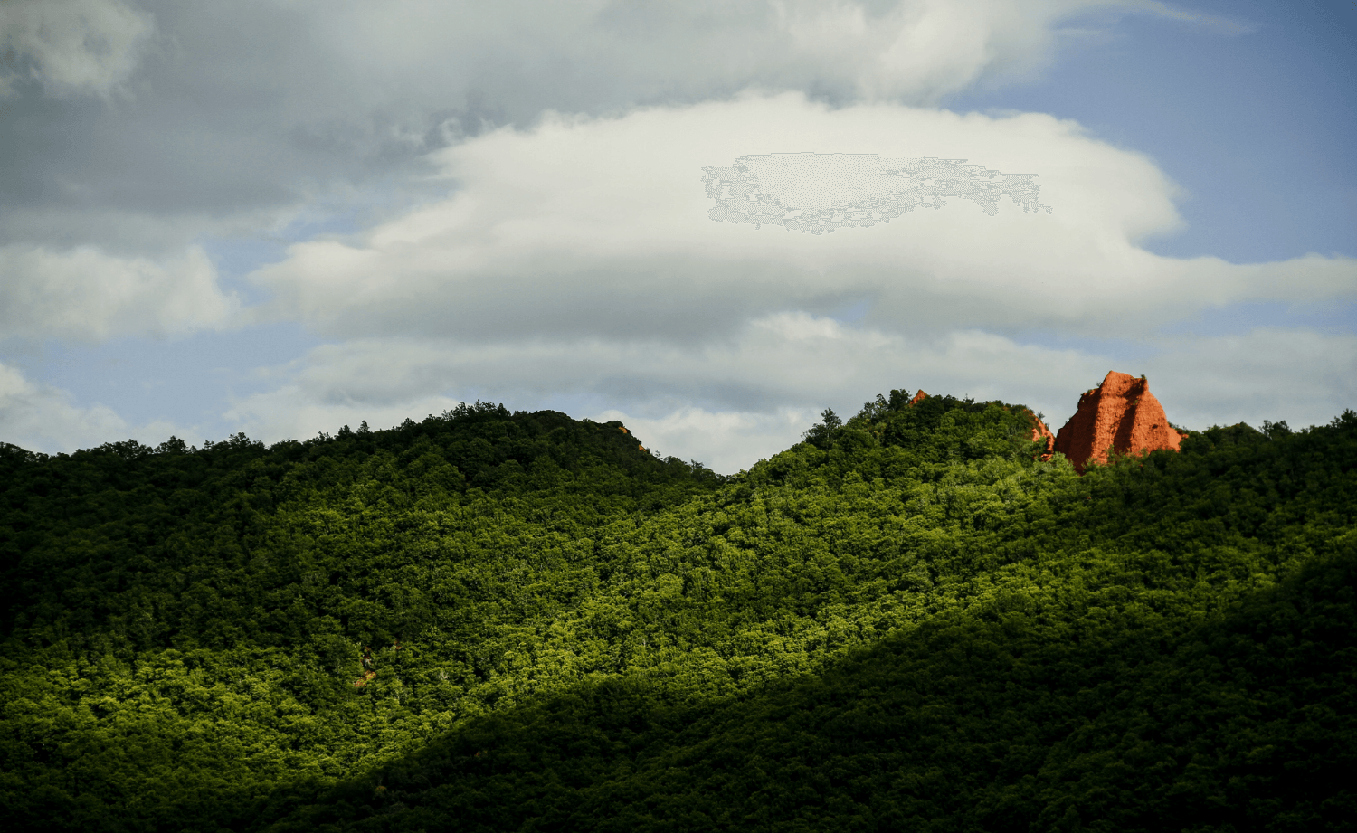 EverGreen Sinharaja Hero Background